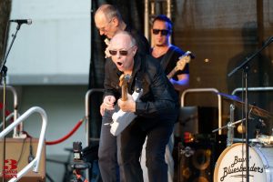 Baums Bluesbenders Eindrucksbild