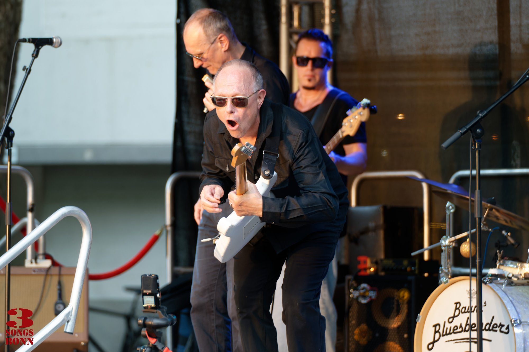 Baums Bluesbenders Eindrucksbild
